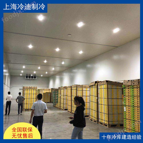 食品廠大型冷庫的安裝造價(jià)、設(shè)計(jì)與軟件開發(fā)全解析